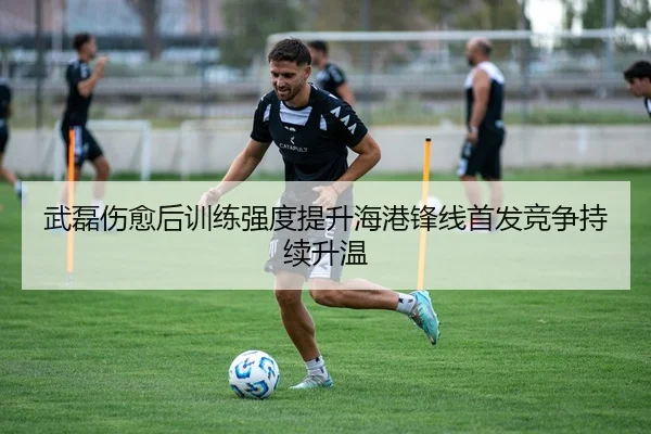 武磊伤愈后训练强度提升海港锋线首发竞争持续升温