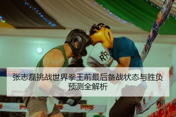 张志磊挑战世界拳王前最后备战状态与胜负预测全解析